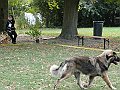 img 172
